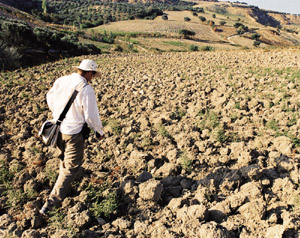 PHOTO:  Casana trods a freshly plowed field above the Amuq.
