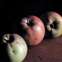 photo:  apples
