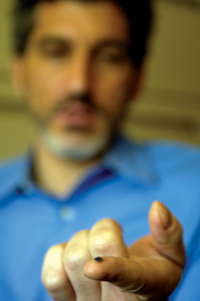 photo:  Measuring four millimeters square and packed with electrodes, the silicon chip translates neural signals into movement. 