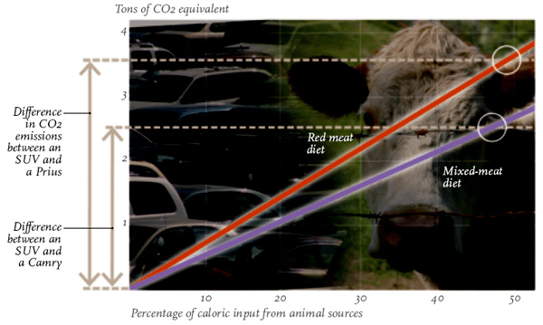 graphic: fig1