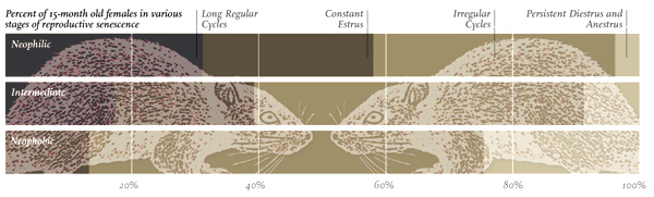 graphic: fig2