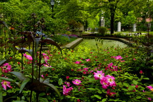photo: Botany Pond’s blooming colors offer a bright antidote to gray Gothic.