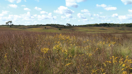 photo: landscapes in hi-def