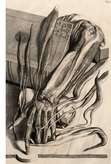Image of an arm with a book from the Imaging/Imagining exhibit